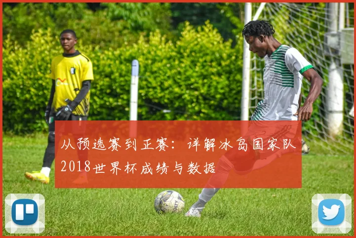 从预选赛到正赛：详解冰岛国家队2018世界杯成绩与数据