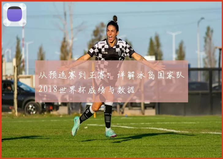 从预选赛到正赛：详解冰岛国家队2018世界杯成绩与数据